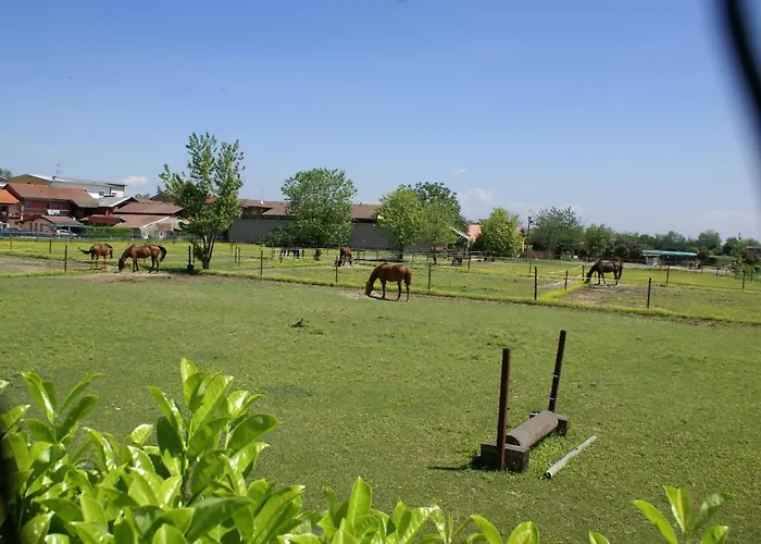 斯福尔采斯科住宿加早餐旅馆 招待所